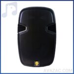 باند و بلندگو اکتیو زیکو مدل DX-15A - فروشگاه اینترنتی آوازک