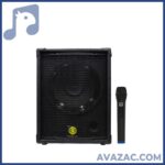 اکو همراه 12 اینچ بامیکروفون زیکو ZICO 12100 PBUR