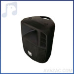 بلندگو پسیو اکوچنگ ECHO CHANG ZX320