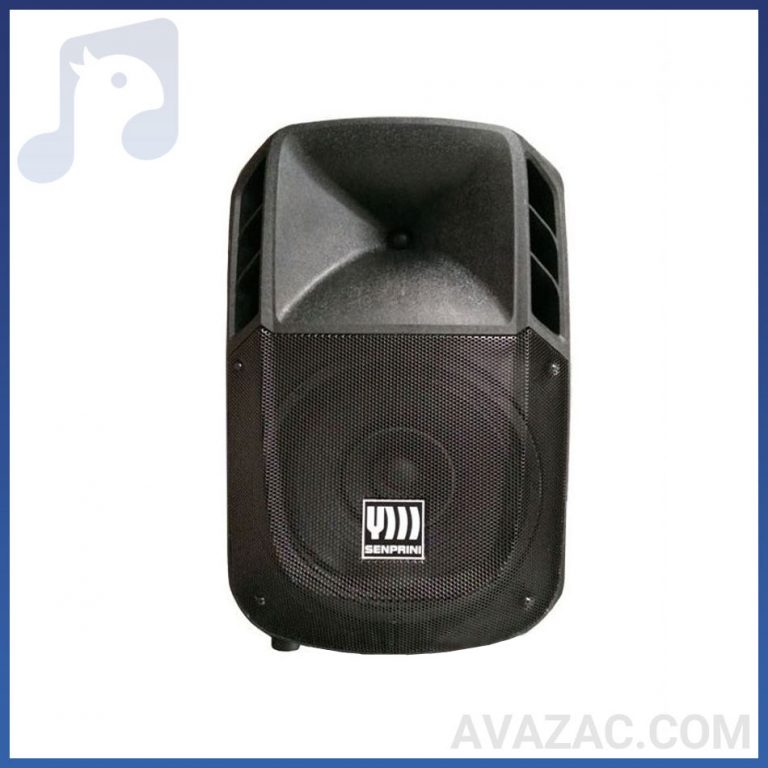 بلندگو پسیو اکوچنگ ECHO CHANG ZX320