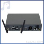 میکروفن بی سیم دستی سنهایزر مدل EW 335 G3،میکروفن بیسیم،Handheld Wireless Microphon