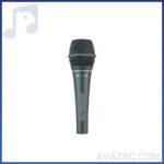 میکروفن باسیم BETA 58 اکوچنگ