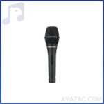 میکروفن باسیم اکوچنگ BETA5