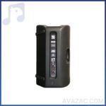 باند پسیو اکوچنگ ZX420