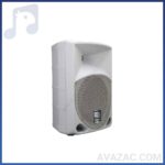 بلندگو پسیو اکوچنگ مدل SP250W