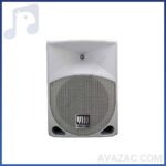 بلندگو پسیو اکوچنگ مدل SP250W
