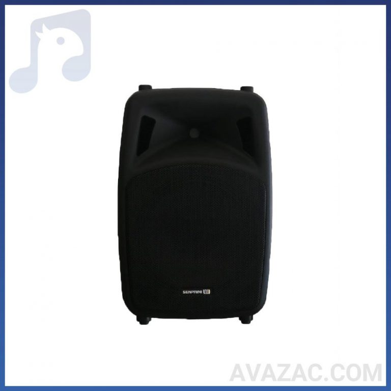 بلندگو پسیو اکوچنگ مدل ZX400