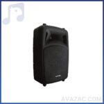 بلندگو پسیو اکوچنگ مدل ZX400