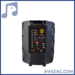 اکو همراه 12 اینچ بامیکروفون 022 زیکو ZICO 12400 FPBUR - Image 2