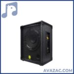 اکو همراه 12 اینچ بدون میکروفون زیکو ZICO 12100 PBUR - Image 2