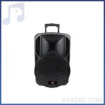 اکوهمراه چمدانی 12 اینچ DJ مدل DJ SMART 01