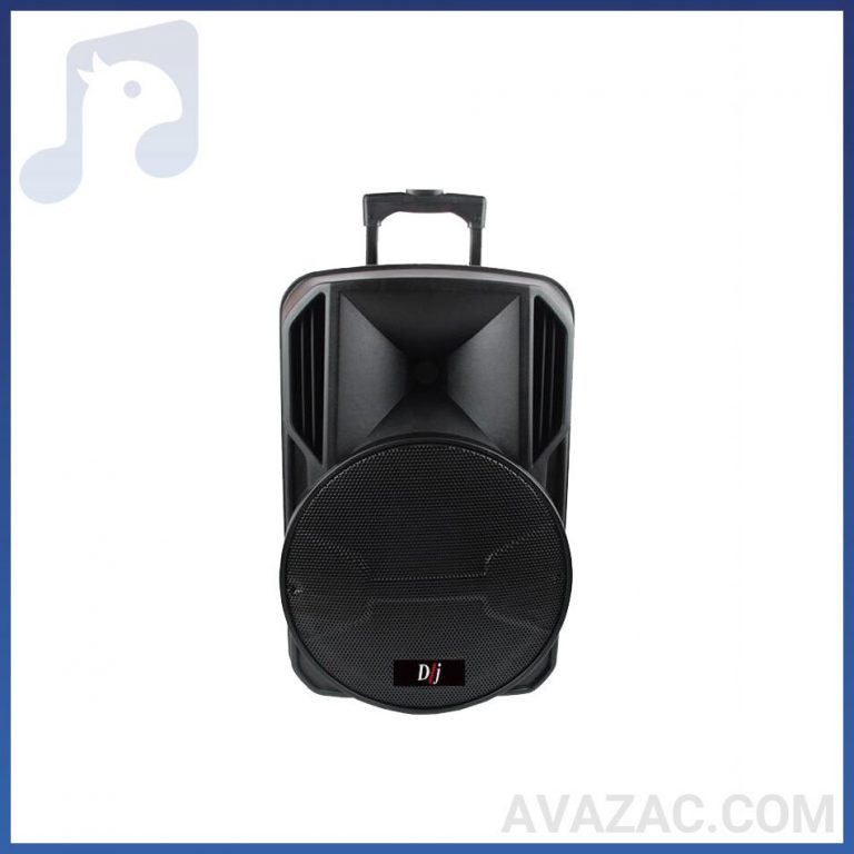 اکوهمراه چمدانی 12 اینچ DJ مدل DJ SMART 01