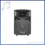 باند اکتیو ۱۲ اینچ DYNAPRO S1600