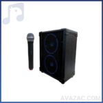 اکو همراه تکنوسوند مدل PTR4 2X6