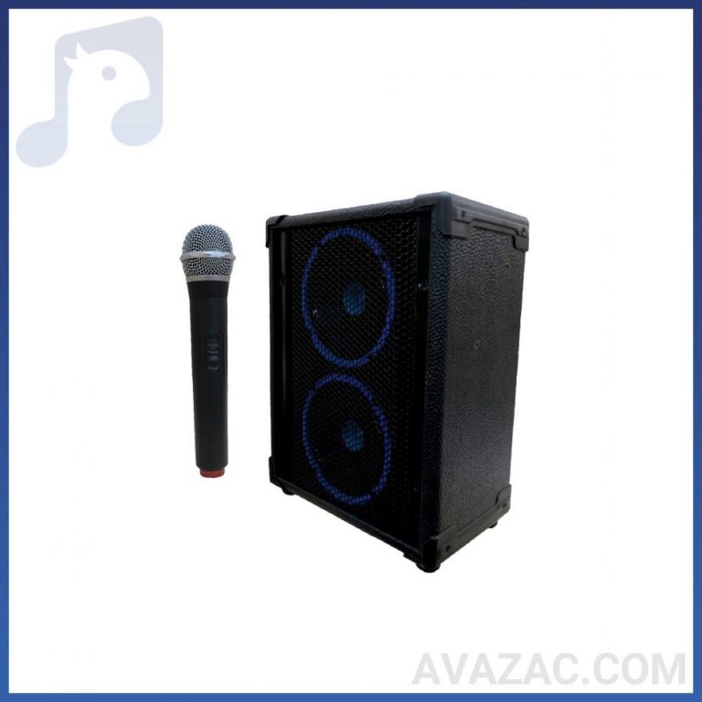 اکو همراه تکنوسوند مدل PTR4 2X6