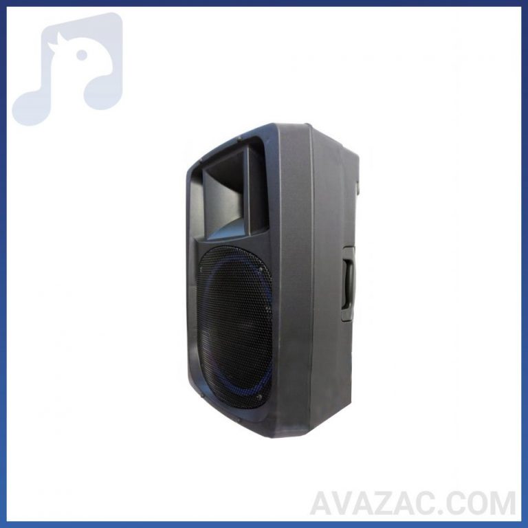 اکو شارژی ۱۲ اینچ برین اکو همراه مدل ۳۶۹۵