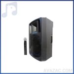 اکو شارژی ۱۲ اینچ با میکروفن بی سیم برین مدل ۳۶۹۵