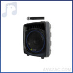 اکوهمراه ۱۲ اینچ بیسیم برین ۱۲۲۰۰ اکو شارژی