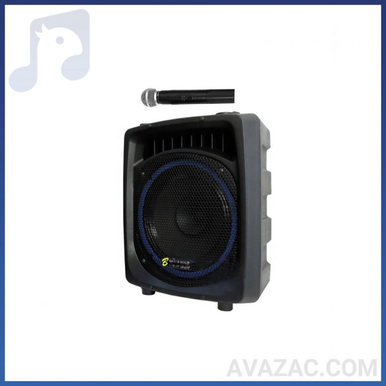 اکوهمراه ۱۲ اینچ بیسیم برین ۱۲۲۰۰ اکو شارژی