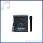 اکو همراه مینی ۵ اینچ بیسیم برین مدل ۱۵۳۰WI