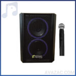 اکو همراه دبل ۶ اینچ برین مدل ۲۶۸۰