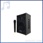 اکو شارژی ۱۲ اینچ با میکروفن بی سیم برین