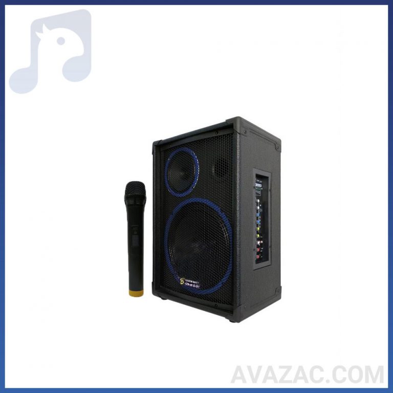 اکو شارژی ۱۲ اینچ با میکروفن بی سیم برین