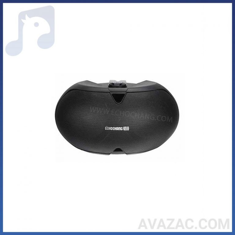 بلندگو دکوراتیو اکوچنگ مدل EVIDENCE 60