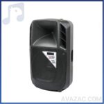 باند اکتیو چیرمن ۱۲ اینچ مدل Chairman SX12A