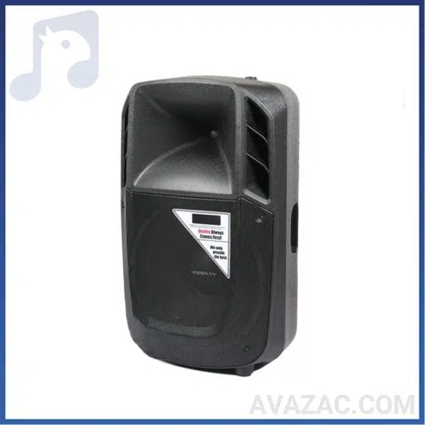 باند اکتیو چیرمن ۱۲ اینچ مدل Chairman SX12A