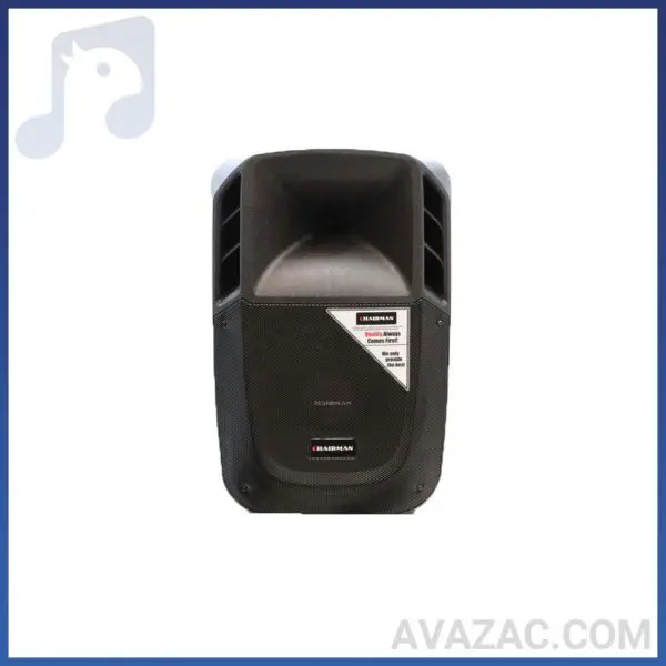 باند اکتیو چیرمن ۱۵ اینچ مدل Chairman SX15A