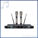 میکروفون بیسیم دو دستی AAP – 800HH