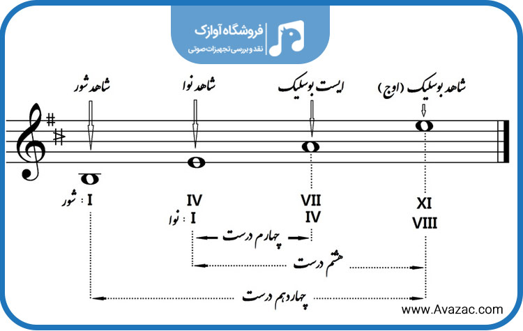 انواع موسیقی ایرانی