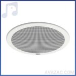 بلندگوی سقفی IP خور AXIS-C2005