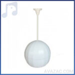 بلندگوی آویز سقفی تک باند