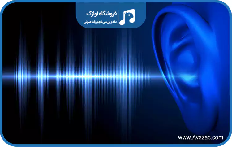 microphone sensitivity avazac.com 3