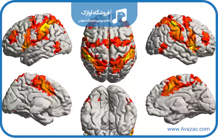 تاثیر موسیقی بر مغز