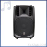 باند 15 اینچ اکتیو زیکو  ZICO W-17A