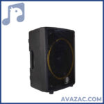 اکو همراه 12 اینچ بامیکروفون 023 زیکو 12400