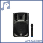 اکو همراه 12 اینچ بامیکروفون 026 زیکو ZICO 12600 FPBUR