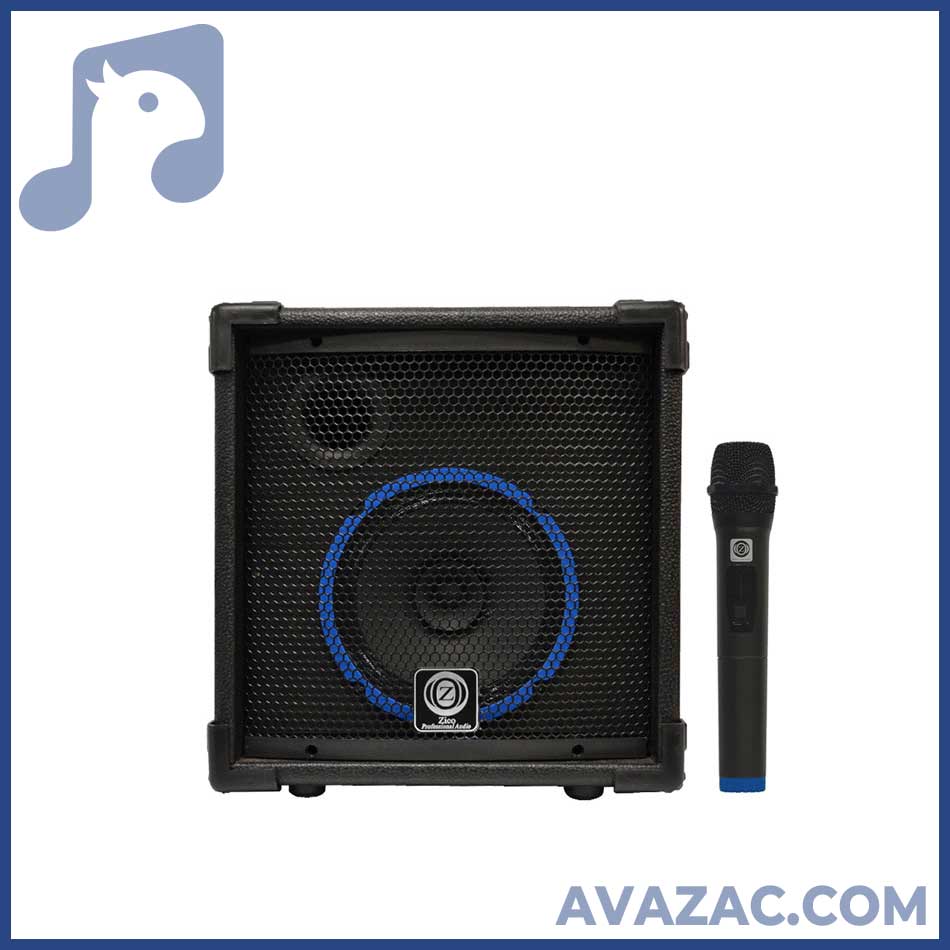 اکو همراه 8 اینچ بامیکروفون زیکو ZICO 18200 PBUR