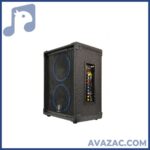 اکوهمراه 8×2 اینچ بامیکروفون زیکو 24800