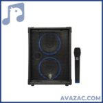 اکو همراه 8×2 اینچ بامیکروفون زیکو ZICO 24800 PBUR