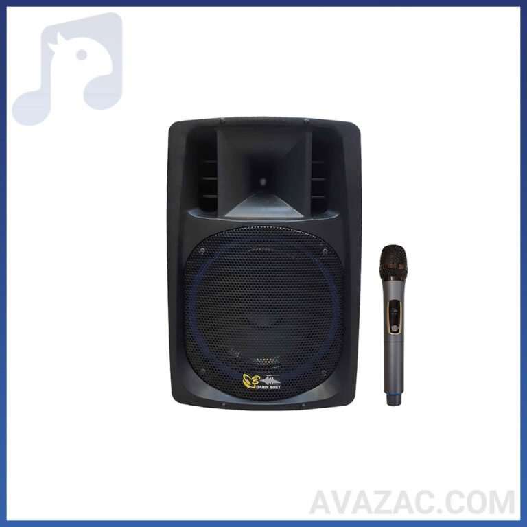 اکوهمراه برین صوت BARIN SOUT 3695