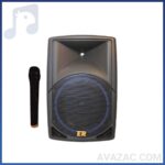 اکو همراه با میکروفون روژان rojan -rj-1400