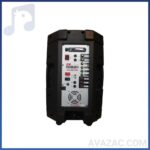 خرید اکو همراه با میکروفون روژان rojan -rj-1400