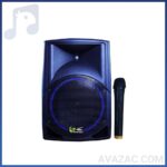 اکو همراه 12 اینچ بامیکروفون برین صوت BARIN SOUT 12300