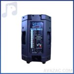 خرید اکو همراه 12 اینچ بامیکروفون برین صوت BARIN SOUT 12300