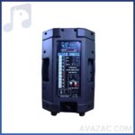 اکو همراه 12 اینچ بدون میکروفون برین صوت BARIN SOUT 12300 - Image 2