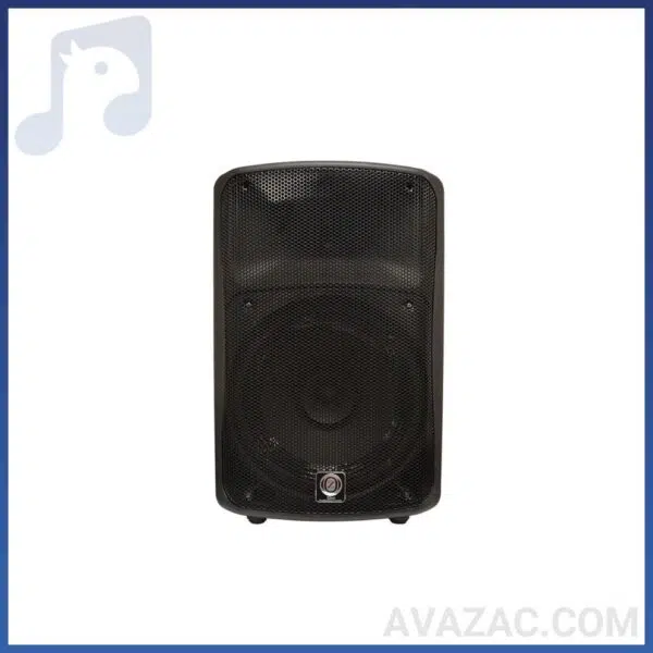 اکو همراه 12 اینچ بدون میکروفون زیکو ZICO 12800 PBUR